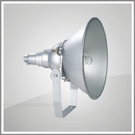 NTC9200-1000W抗震型投光灯