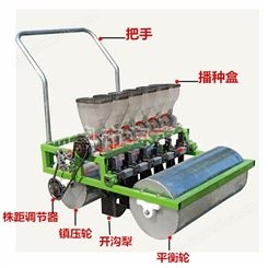 小型推车式播种机汽油自走式蔬菜精播机多行可选汽油播种机