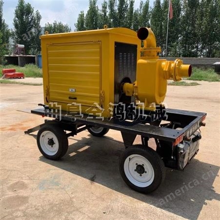 柴油机10寸水泵便捷自吸6寸抽水泵移动排水推车水泵