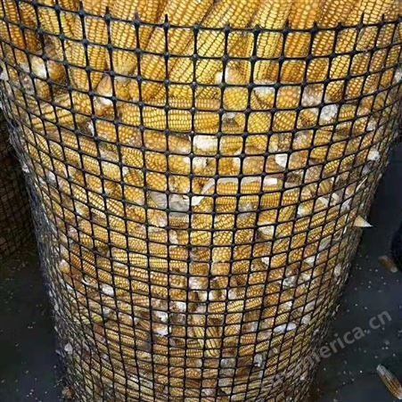奥焱 成都塑料养殖网漏粪网 厂家现货 圈玉米塑料网