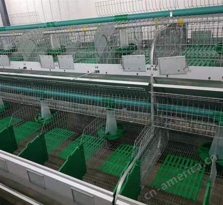 出售供应 三兔笼子 养殖兔笼 子母兔笼 欢迎