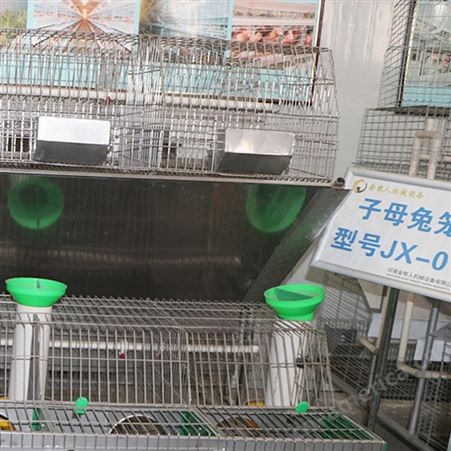 报价供应 无底镀锌兔子笼 阶梯式自动清粪种兔笼 养殖兔笼