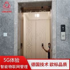 上海别墅用小型电梯尺寸 Gulion/巨菱320kg家用电梯价格