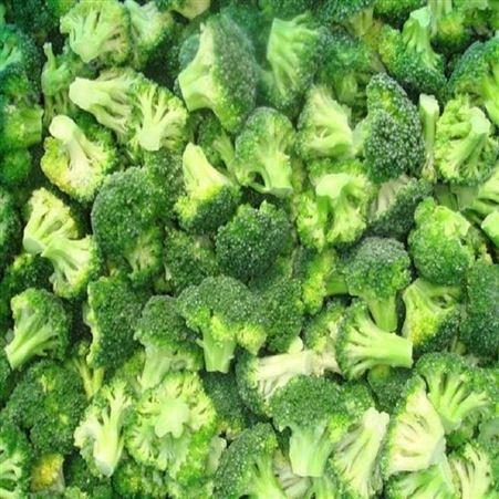 绿拓餐饮配菜常用速冻西蓝花绿菜花 切段成品出售方便食用