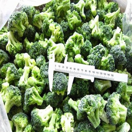 速冻西兰花绿花菜 饭店餐饮配菜常用 速冻蔬菜加工厂 绿拓食品
