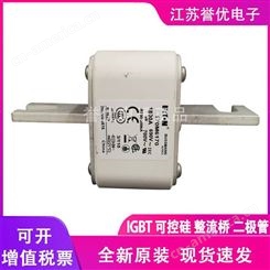 170M8557进口原装巴斯曼熔断器保险丝-江苏誉优电子代理