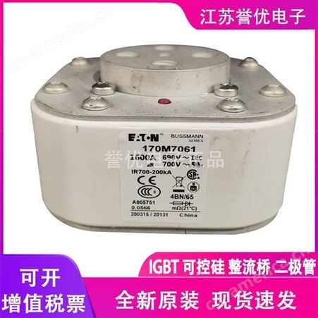 170M6261进口原装巴斯曼熔断器保险丝-江苏誉优电子代理