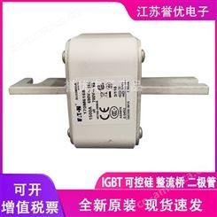 170M6266进口原装巴斯曼熔断器保险丝-江苏誉优电子代理