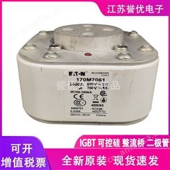 170M7083进口原装巴斯曼熔断器保险丝-江苏誉优电子代理