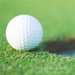 高尔夫球电子标签IC卡 高频RIFD 高尔夫球场计分系统适用