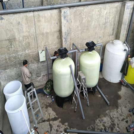 定制峻峰 软化水全自动处理系统 一用一备连续供水 鱼池过滤设备