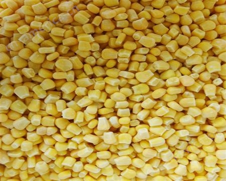 鼎辉速冻甜玉米代加工 开袋即食无任何添加剂 低温冷藏原料新鲜