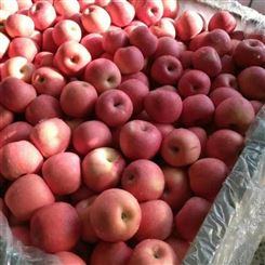 大连市批发价红富士苹果 新鲜水果 宏远果蔬 做工优质