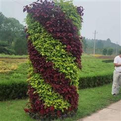 广场花柱 景观装饰花柱花球 长期出售 景观植物雕塑 可定制